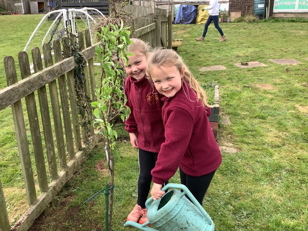local-schools-benefit-from-free-fruit-trees-the-exeter-daily